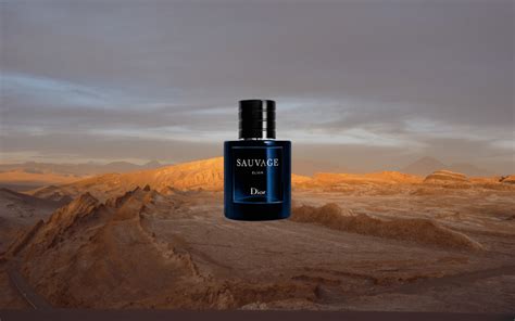 dior sauvage italy|best deal on Dior Sauvage.